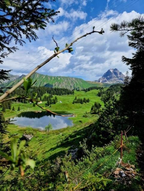 Die Holzgauerin Dış mekan fotoğraf